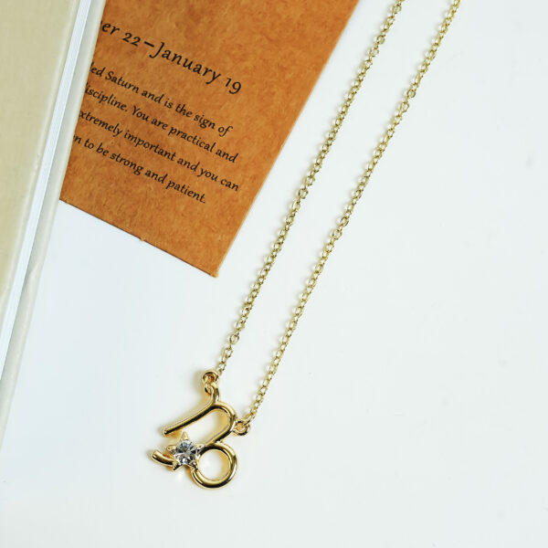 AURA CAPRICORN ZODIAC SIGN NECKPIECE
