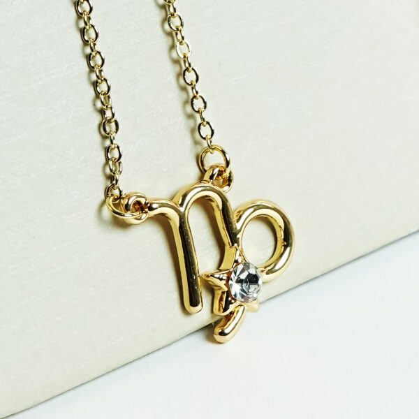 AURA CAPRICORN ZODIAC SIGN NECKPIECE